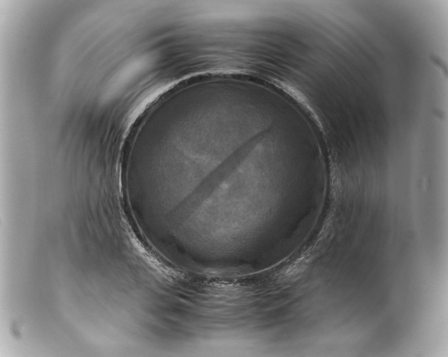 X0000099550935200805301518