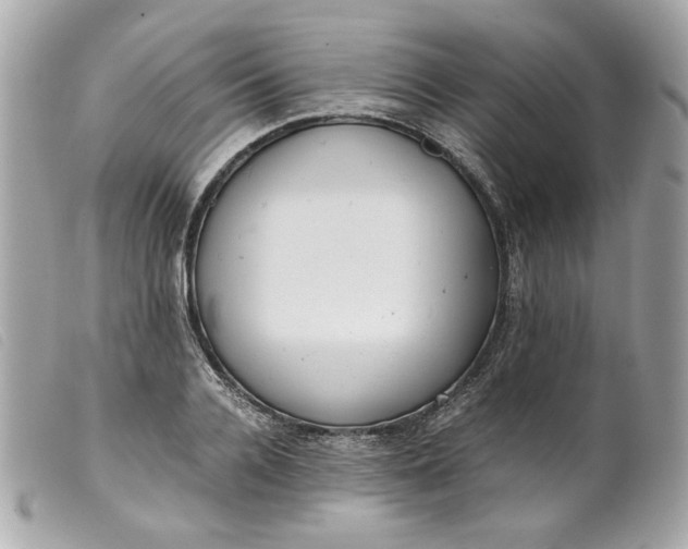 X0000099550936200805301518