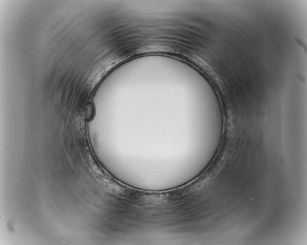 X0000099550937200805301518