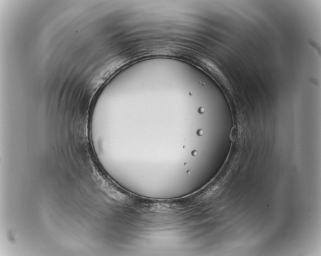 X0000099550938200805301518