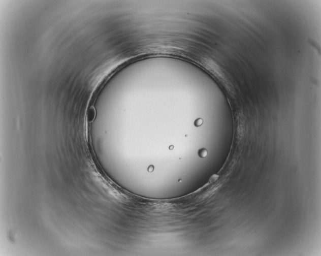 X0000099550940200805301518