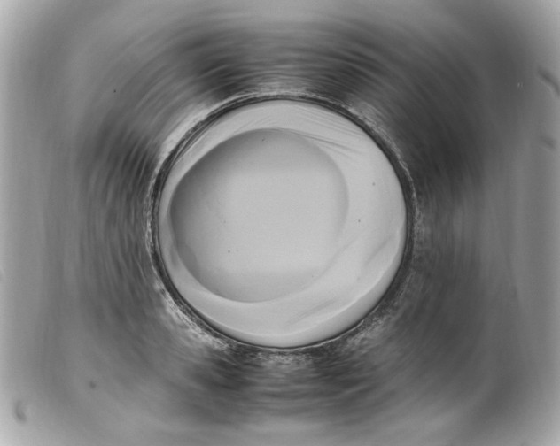 X0000099550941200805301518