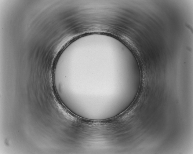 X0000099550942200805301518