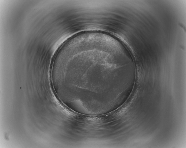 X0000099550943200805301518