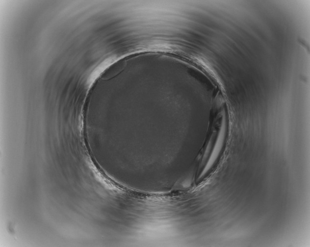 X0000099550944200805301518