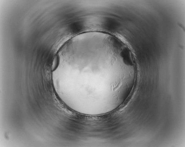 X0000099550945200805301518