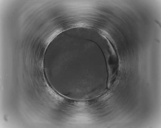 X0000099550946200805301518