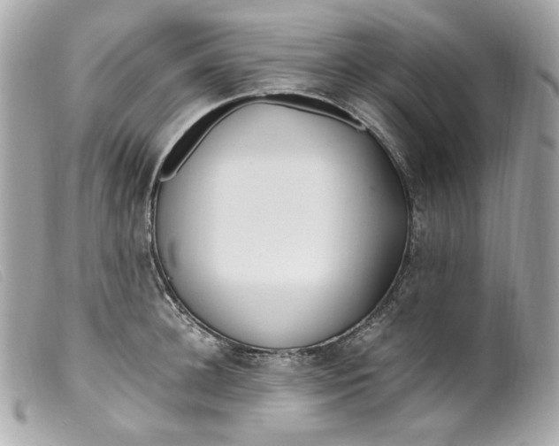 X0000099550948200805301518