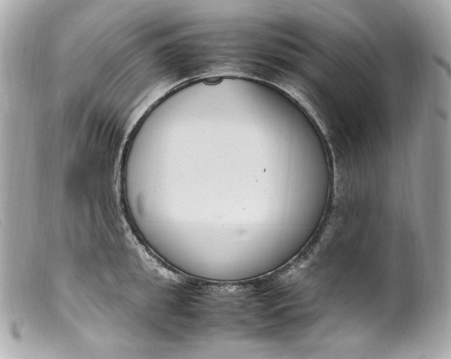 X0000099550949200805301518