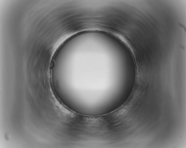 X0000099550951200805301518