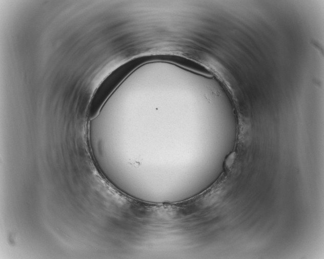 X0000099550952200805301518