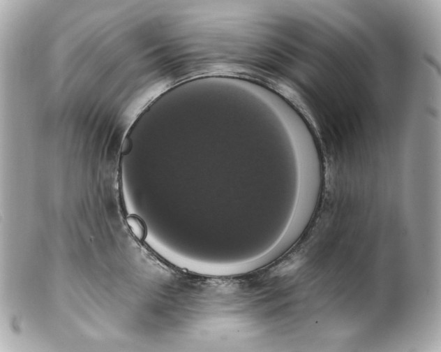 X0000099550954200805301518