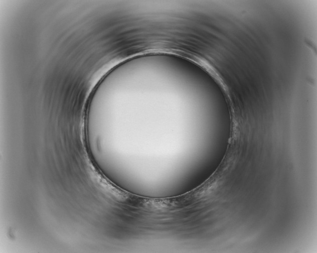 X0000099550955200805301518