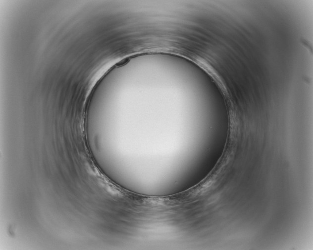 X0000099550956200805301518