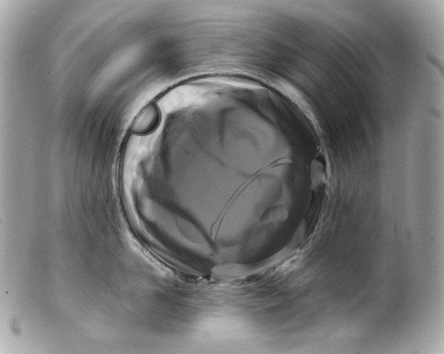 X0000099550958200805301518