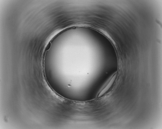 X0000099550959200805301518