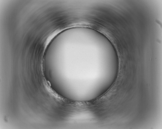 X0000099550960200805301518