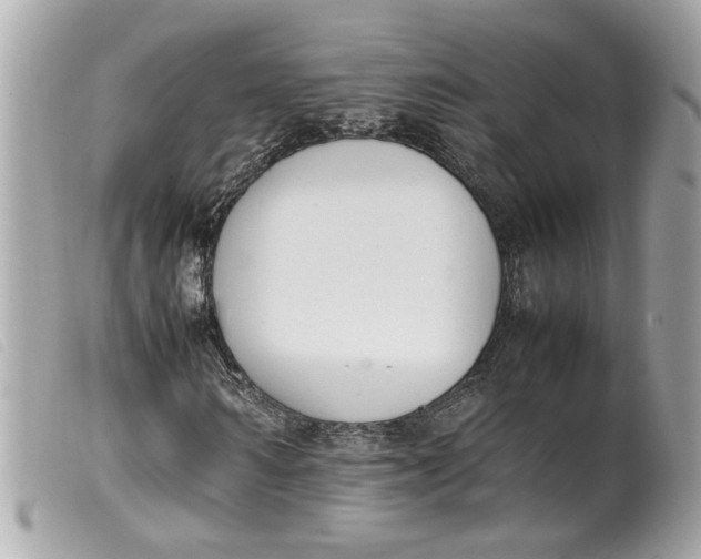 X0000099550962200805301517