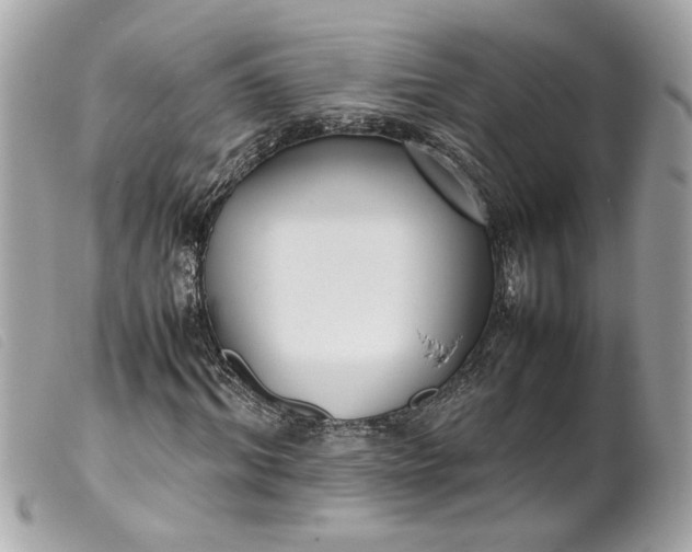 X0000099550964200805301517