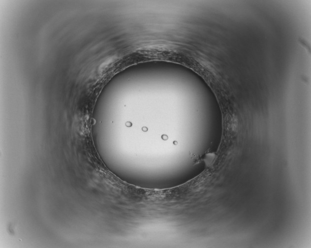 X0000099550965200805301517