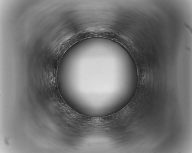 X0000099550966200805301517