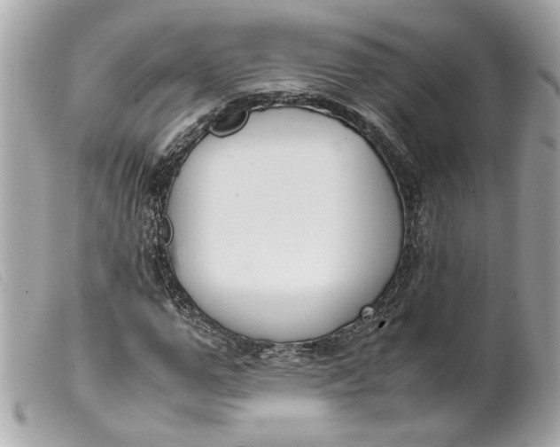 X0000099550967200805301517