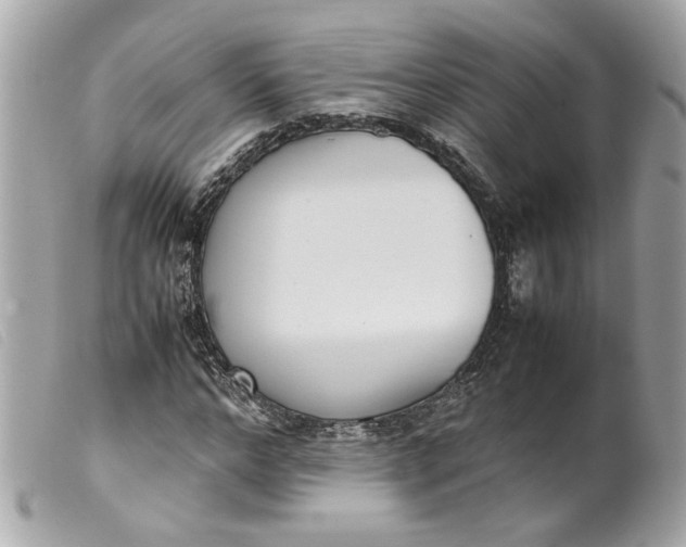 X0000099550968200805301517