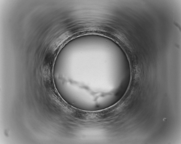 X0000099550969200805301517