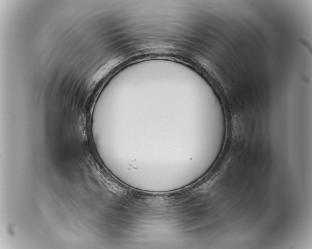 X0000099550970200805301517