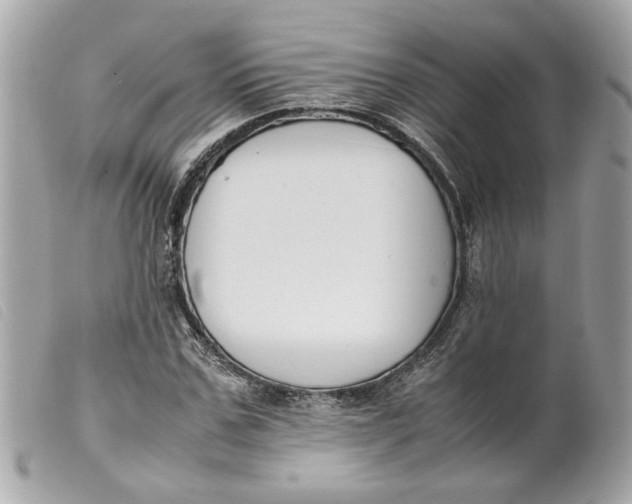 X0000099550971200805301517