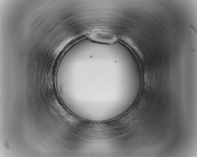 X0000099550972200805301517