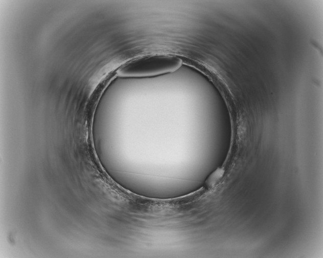 X0000099550973200805301517