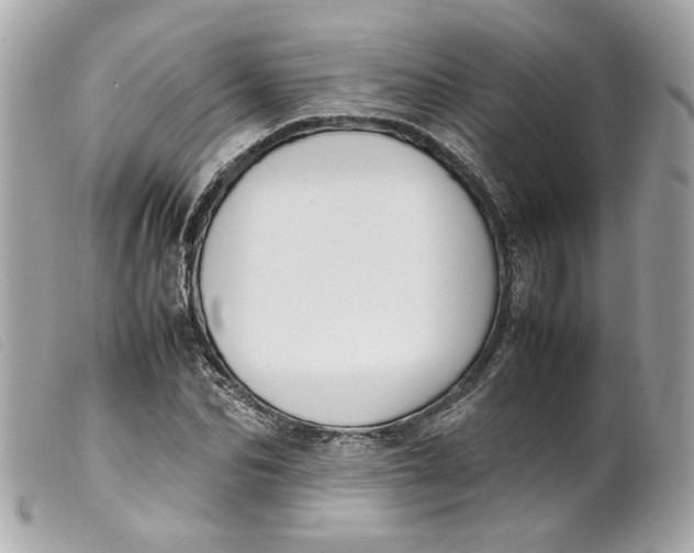 X0000099550974200805301517