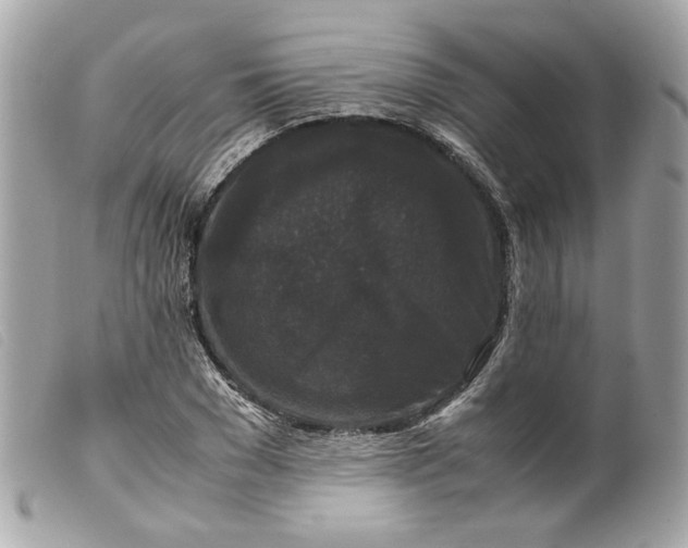 X0000099550977200805301517