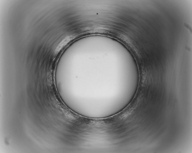 X0000099550978200805301517