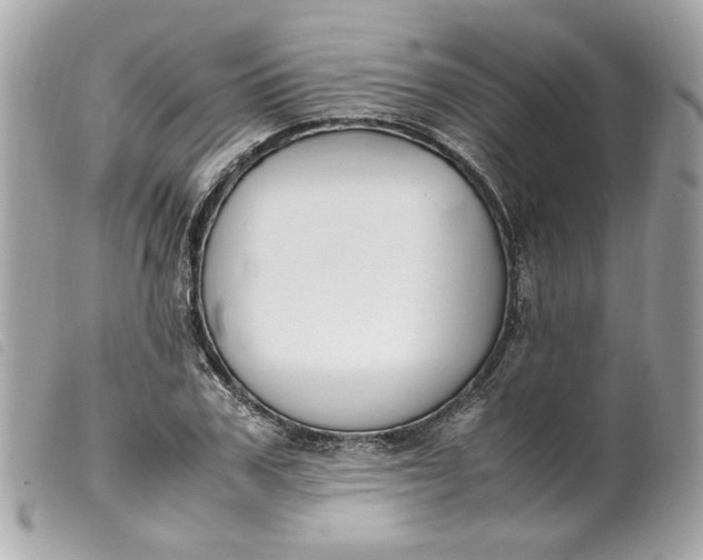 X0000099550979200805301517