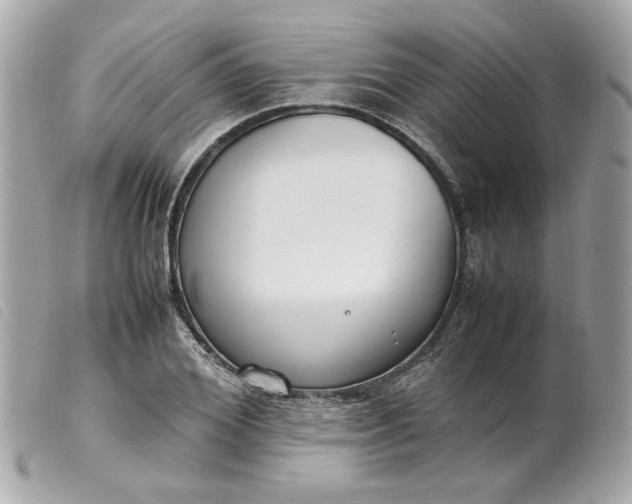 X0000099550980200805301517