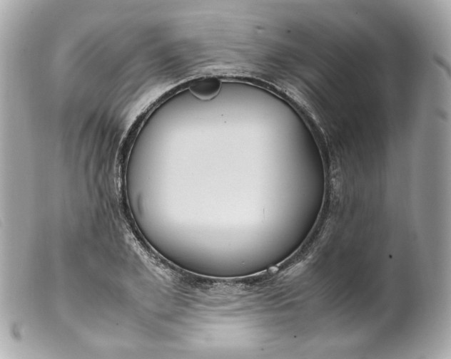 X0000099550981200805301517