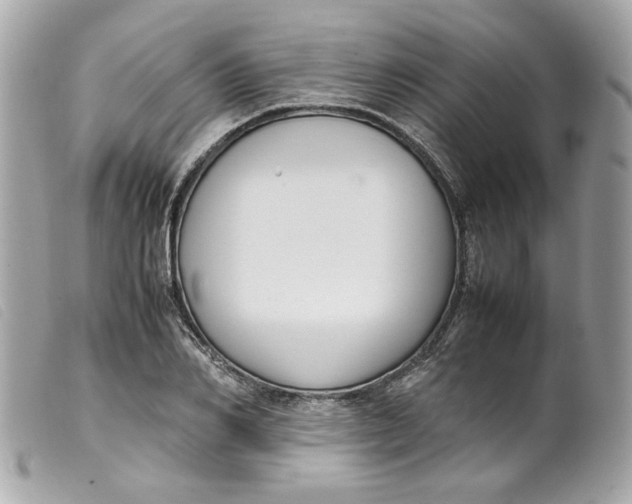 X0000099550982200805301517