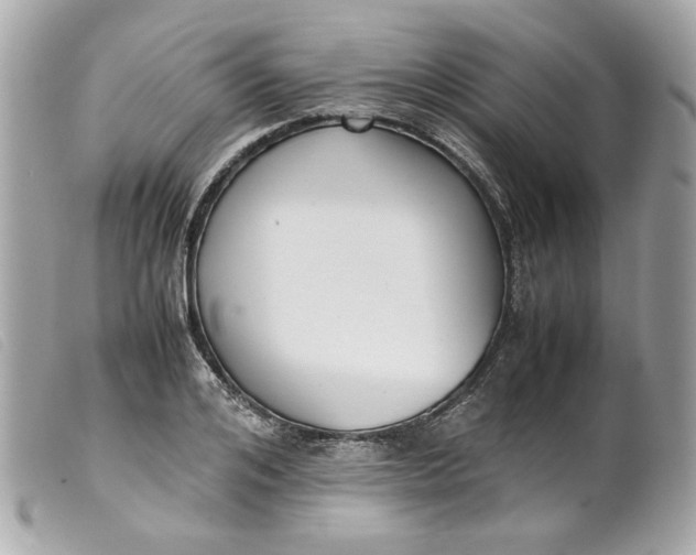 X0000099550984200805301517