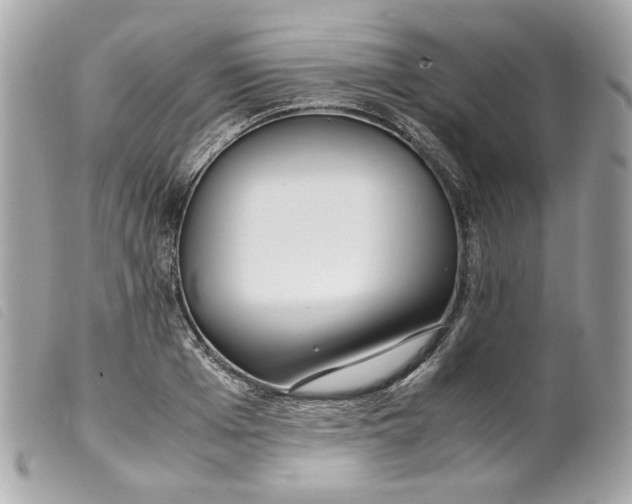 X0000099550985200805301517