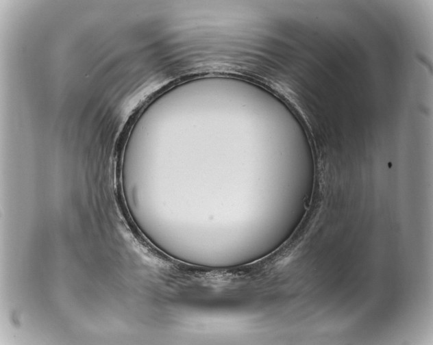 X0000099550987200805301517