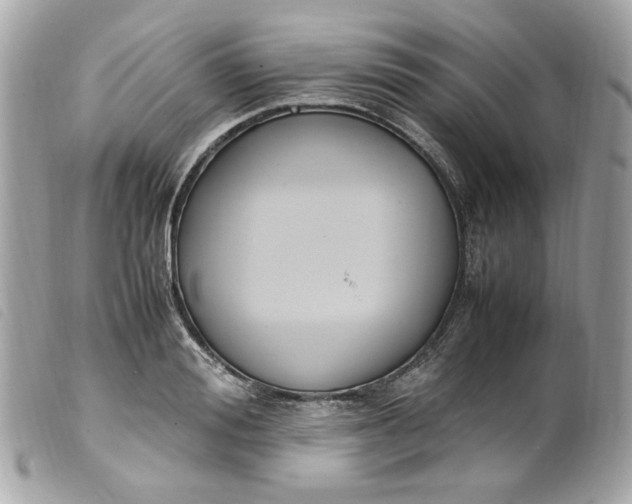 X0000099550988200805301517