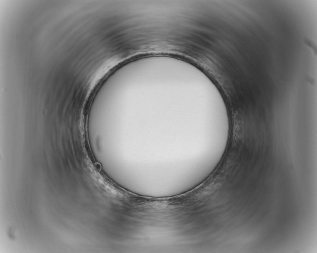 X0000099550990200805301517