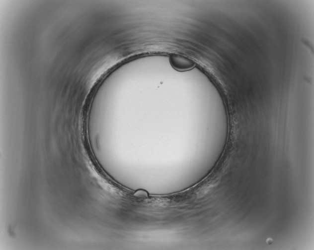 X0000099550991200805301517