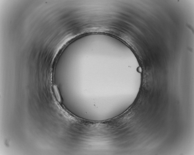 X0000099550992200805301517