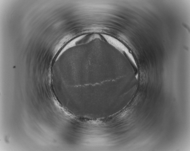 X0000099550994200805301517