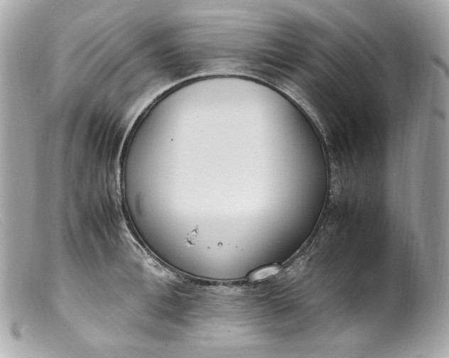 X0000099550996200805301517