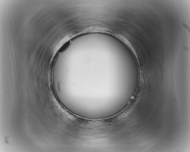 X0000099550997200805301517