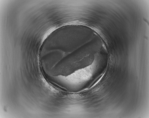 X0000099550998200805301517